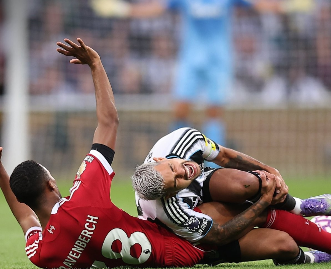 喜鹊军团纽 喜鹊军团纽